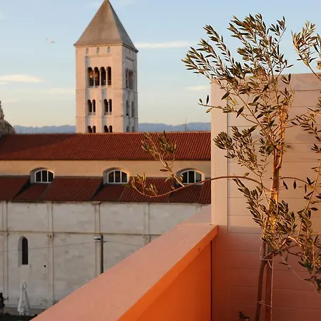 Dream Zadar